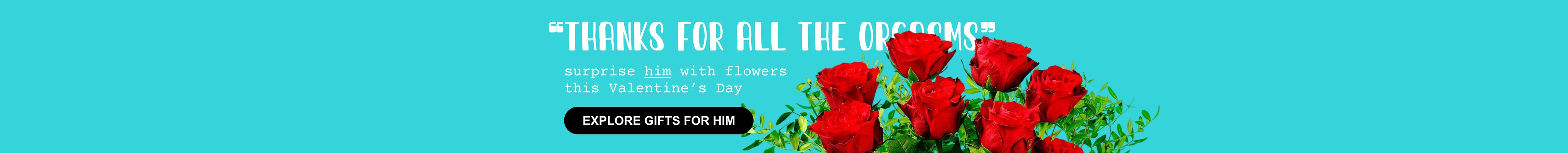 VD Gifting T-3 w/5 2026