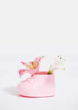 baby flower Pregnancy Card 22017 created by Image Source