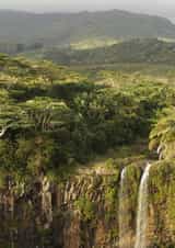 waterfall jungle Religious Card 22116 created by Nic Barbier