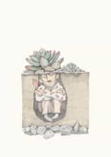 succulent plant Card 22227 created by Jiayue Hu