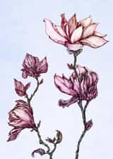 flower flowers Sympathy Card 22339 created by Anna Stankevich