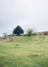 mendips landscape Card 23032 created by George Bale