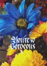 Calligraphy handwritten Card 22468 created by Sachinspiration