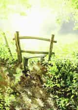 Light peace Card 22753 created by L i z H a n k i n s