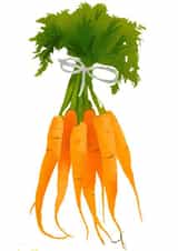 MALE FEMALE Card 23358 created by Jens Magnusson