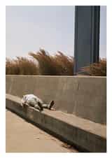 sun fun Card 23347 created by Jonathan Hyde