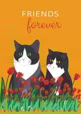 Tuxedo cat Thinking of you Card 24095 created by Lorraine Stylianou