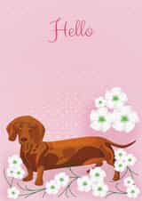 Hello flowers Just because... Card 1613 created by Lorraine Stylianou