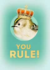 MALE FEMALE Card 24380 created by Satty VerbArt