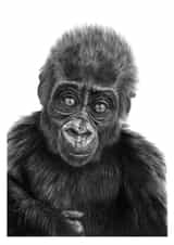 gorilla monkey Card 24782 created by Rebecca Lehmann