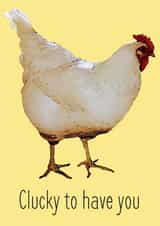 chicken chick Anniversary Card 24831 created by Tofu'd Designs