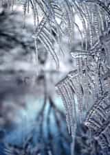 winter love Photography Card 23488 created by Alina Shevelina