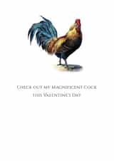 valentine cock Valentines Day Card 22597 created by Colonel I. P. Knightly