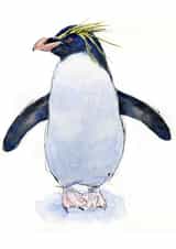 penguin rockhopper Card 22628 created by Tim Pond