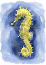 seahorse marine Card 22629 created by Tim Pond