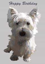 happybirthday happy Birthday Card 25880 created by Periodic Society