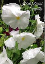 WithDeepest WithDeepestSympathy Card 25984 created by Caroline Davies