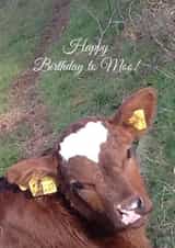 Happy HappyBirthday Card 25995 created by Caroline Davies