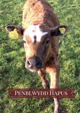 Penblwydd Hapus Card 25997 created by Caroline Davies