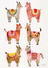 alpaca Animal Just because Card 3615 created by Cat Coquillette
