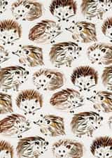 hedgehog MALE Card 3626 created by Cat Coquillette