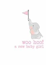 woo hoo! a new baby girl created by Dandelion Stationery