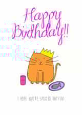Birthday Cat Birthday Card 26574 created by Jane Smedley