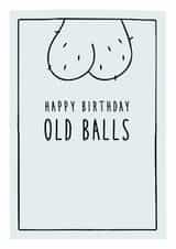 happy birthday old balls - funny Birthday Card created by Prairie Chick Prints