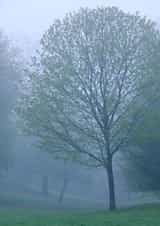 Photography Landscape Card 27755 created by Rick Shea