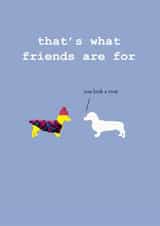 dachshund friend Just because Card 5326 created by Frankie Whistle