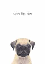 Pug Dog Birthday Card 5573 created by Louise Jewell