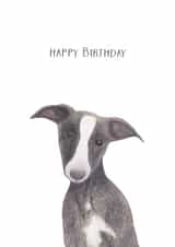 Whippet Dog Birthday Card 27933 created by Louise Jewell