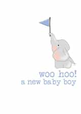 Woo Hoo! a new baby boy created by Dandelion Stationery