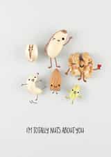 Cute Nuts Anniversary Card / Valentines Day Card - Nuts - I'm Totally Nuts About You created by Yippea