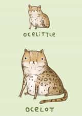 ocelittle ocelot Just because Card 1121 created by Sophie Corrigan