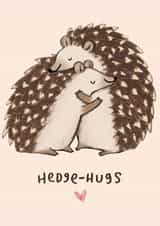 Cute Hedgehog Pun Anniversary Card / Valentines Day Card - Hedge Hugs created by Sophie Corrigan