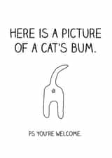 cat animal Just because Card 4950 created by Offhand Cards