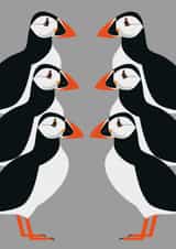 Puffin Male Just because... Card 28536 created by 1790 Cards