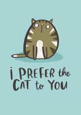 cat funny Anniversary Card 6191 created by Lucy Maggie Designs