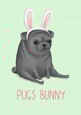 pug bunny Just because Card 1754 created by Katie Corrigan