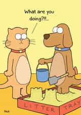 funny cartoon Humour Card 6757 created by Nick Hannaford-Hill