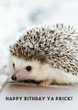 cute funny Card 29279 created by Luke Shepherd