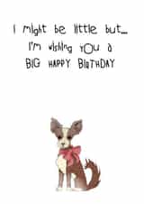 dog chiwawa Birthday Card 25106 created by Ryland Studios