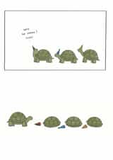 Cute Birthday Card - Tortoise - Hide! created by Redback Cards