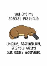 Cute Platypus Anniversary Card / Valentines Day Card - You Are My Special Platypus: Unique, Fascinating, Slightly Weird But Oddly Adorable created by PaperFreckles