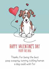 Cute Valentines Day Card - From The Dog - Thanks For Being The Best Poop Scooping, Tummy Tickling Human A Dog Could Ask For created by HC Illustrations