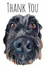 dog thank Thank You Card 1579 created by Jo Scott Art