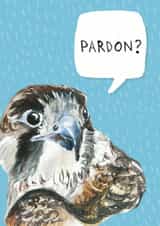 falcon perregrin Card 29860 created by Little Birds Talk + Paper Hawk