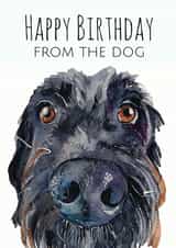 dog Adult Birthday Card 1580 created by Jo Scott Art