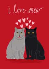 cat valentines Valentines Day Card 25137 created by Pet Friendly